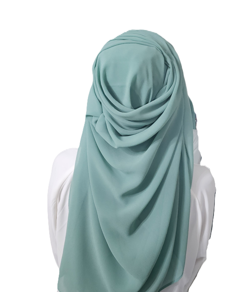 Stylexplora